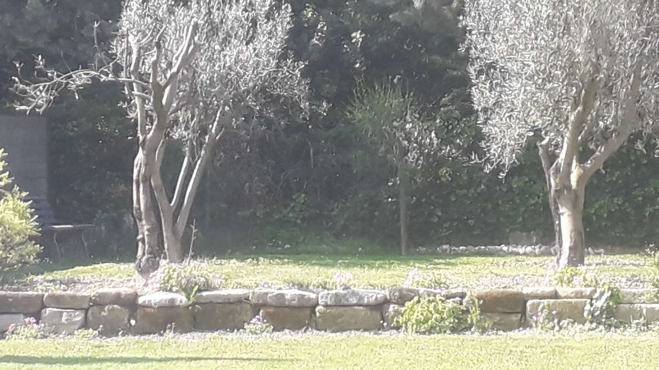 Photo of Outdoor in Pujaut