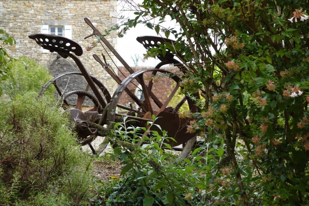 Photo of Outdoor in Saint-Cyprien