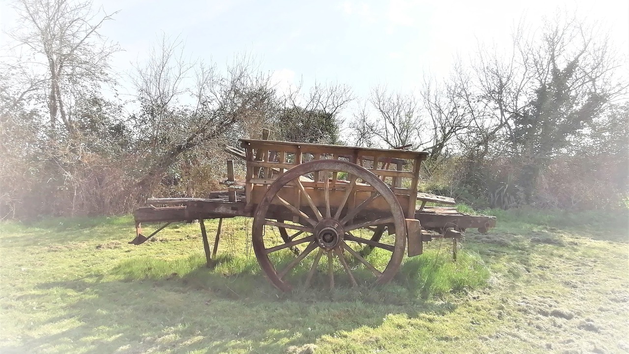 Photo of Outdoor in Guillac