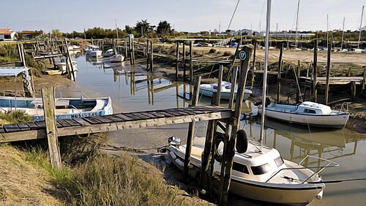 Photo of Others in La Couarde-sur-Mer
