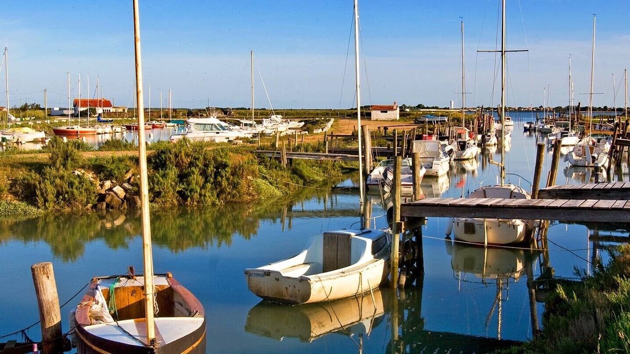 Photo of Others in La Couarde-sur-Mer