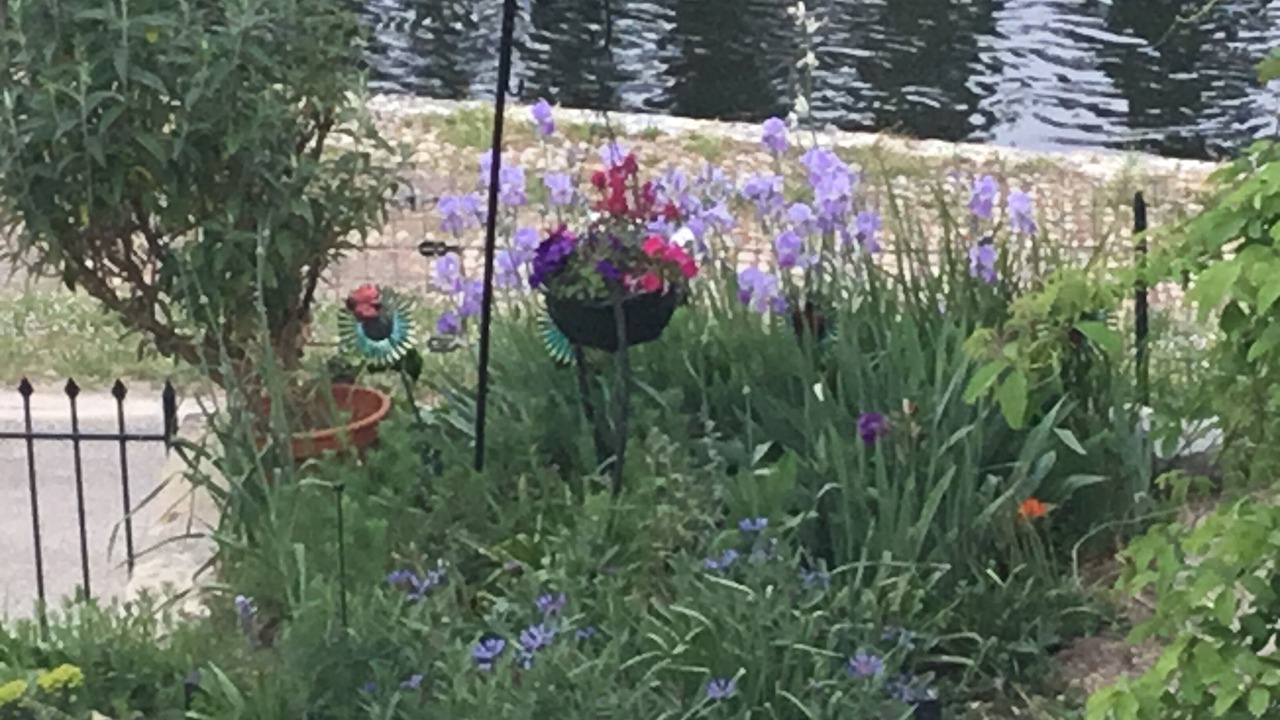 Photo of Others in Pessac-sur-Dordogne