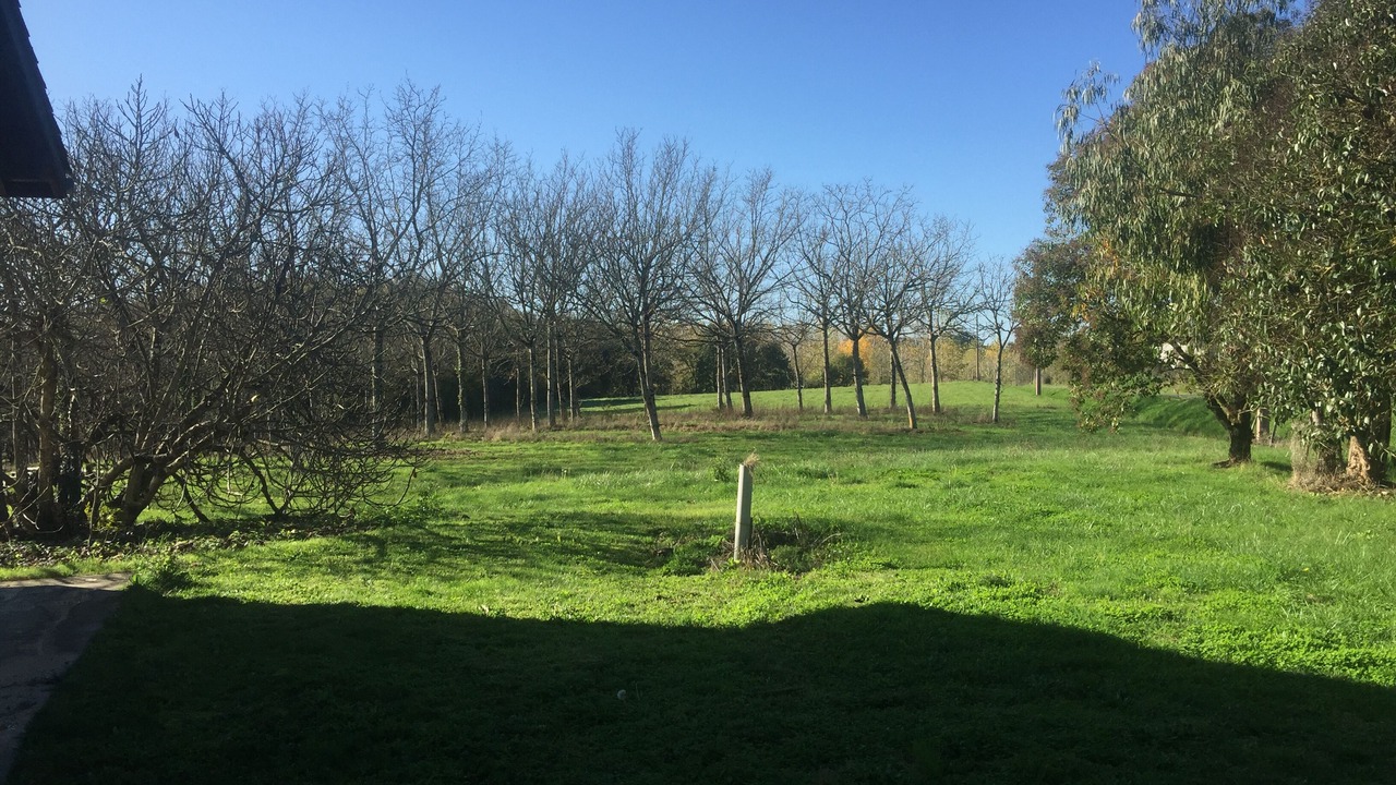 Photo of Outdoor in Sainte-Gemme-Martaillac