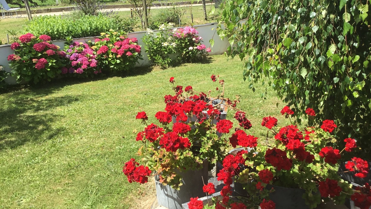Photo of Outdoor in Sainte-Croix-Du-Mont