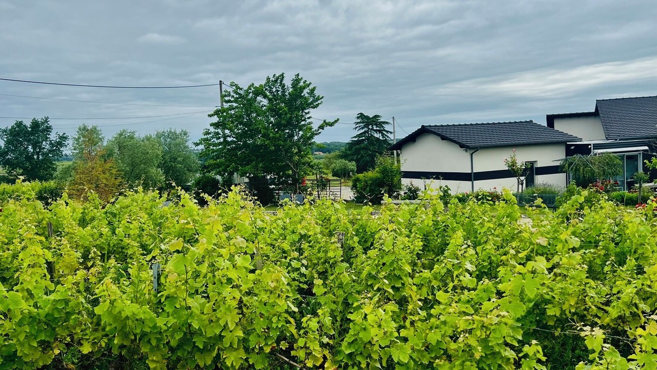 Photo of Outdoor in Sainte-Croix-Du-Mont