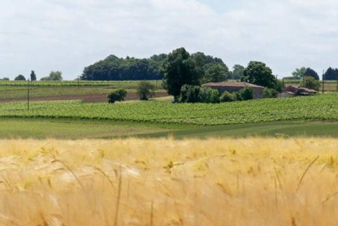 Photo of Others in Ozillac