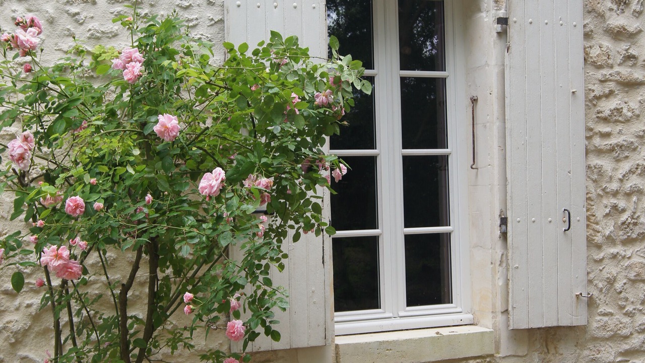 Photo of Outdoor in Saint Nazaire sur Charente