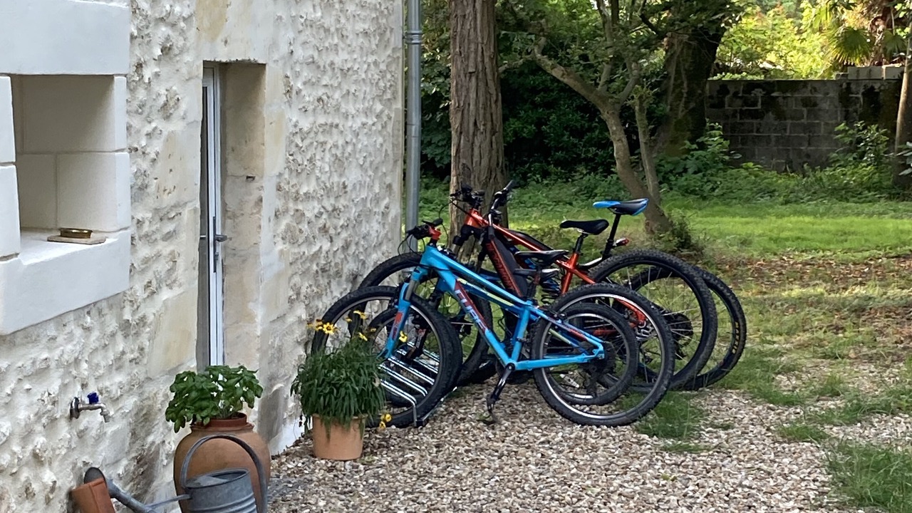 Photo of Outdoor in Saint Nazaire sur Charente