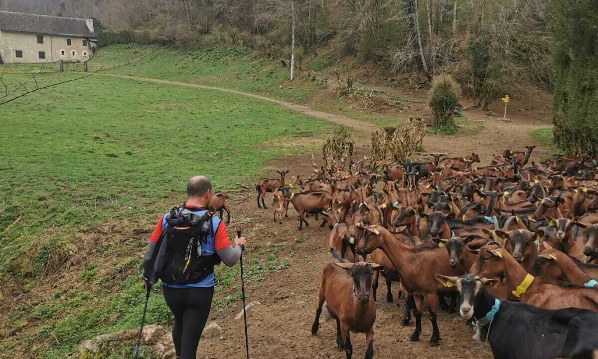 Photo of Others in Urdos