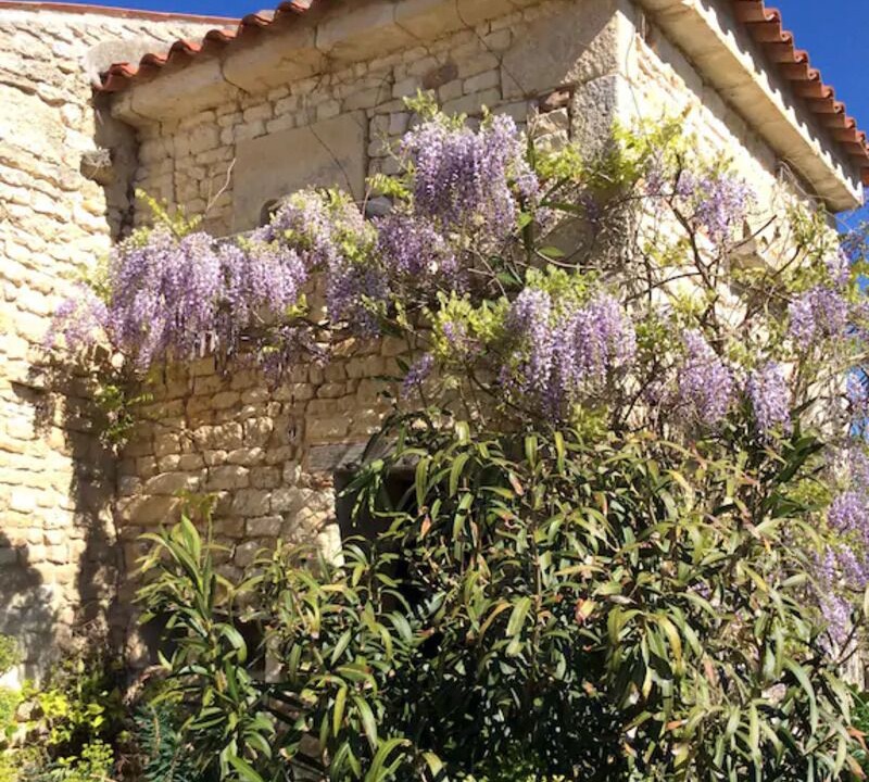 Photo of Outdoor in Landrais