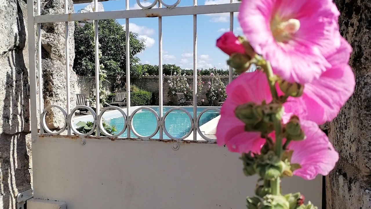 Photo of Outdoor in Landrais