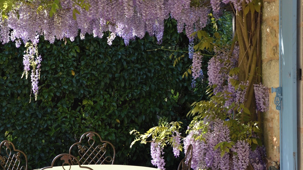Photo of Outdoor in Le Bugue
