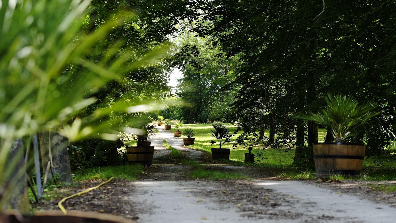 Photo of Outdoor in Castelnau-de-Medoc