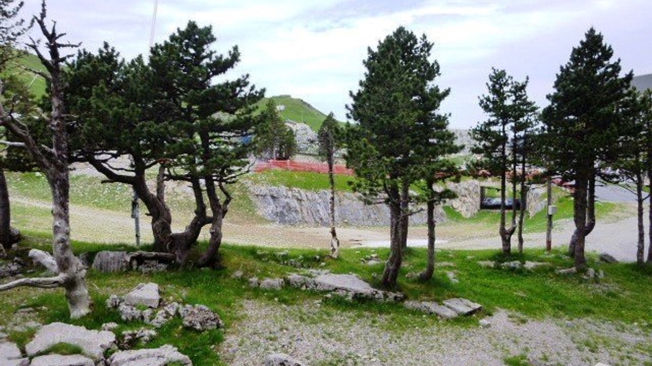 Photo of Outdoor in Arette