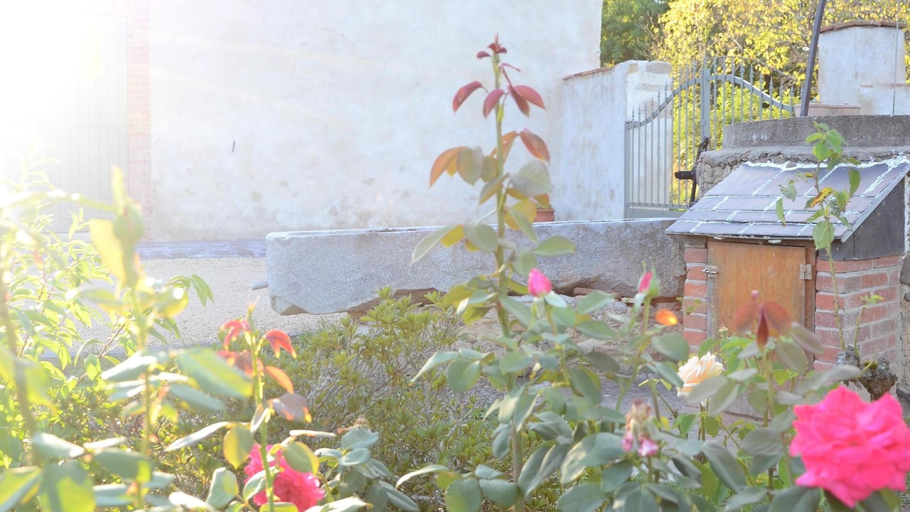 Photo of Outdoor in Peyrelongue-Abos