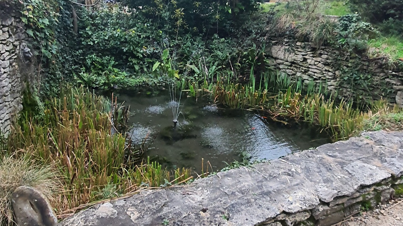 Photo of Outdoor in Saint-Cyprien