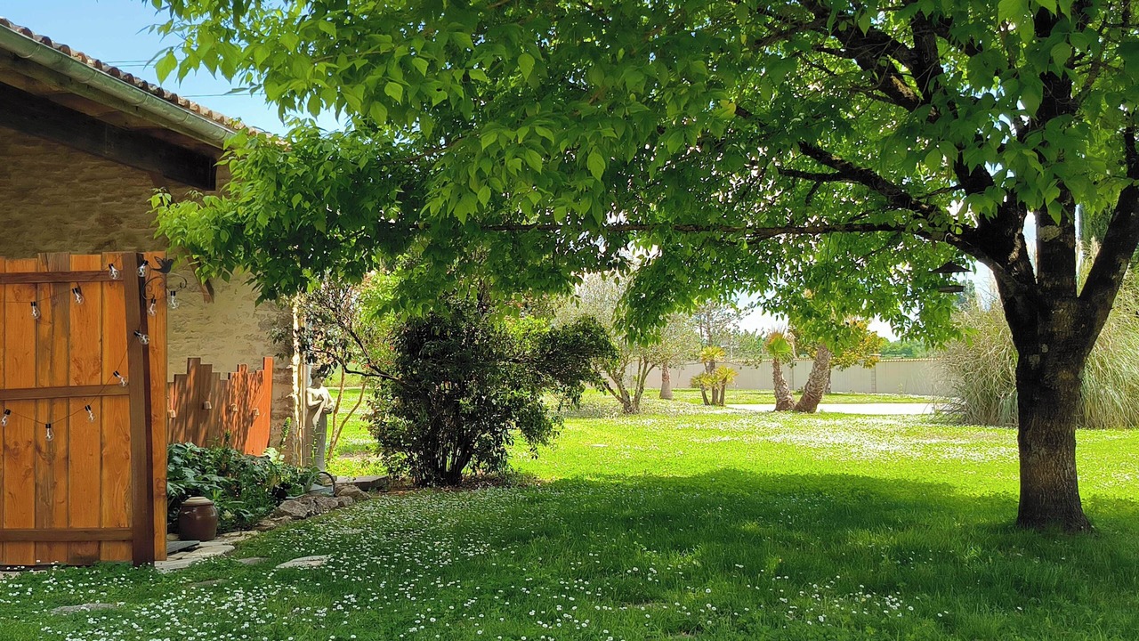 Photo of Outdoor in Cartelegue