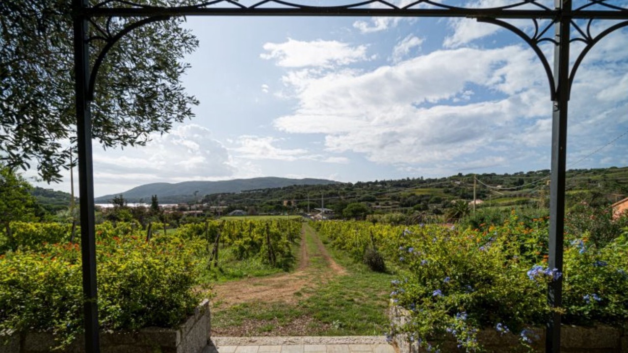Photo of Outdoor in Porto Azzurro