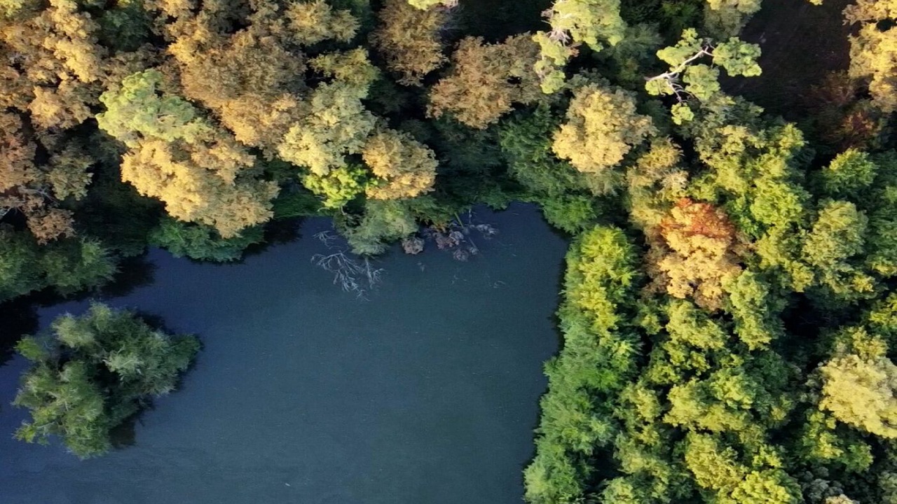 Photo of Outdoor in Mazeres