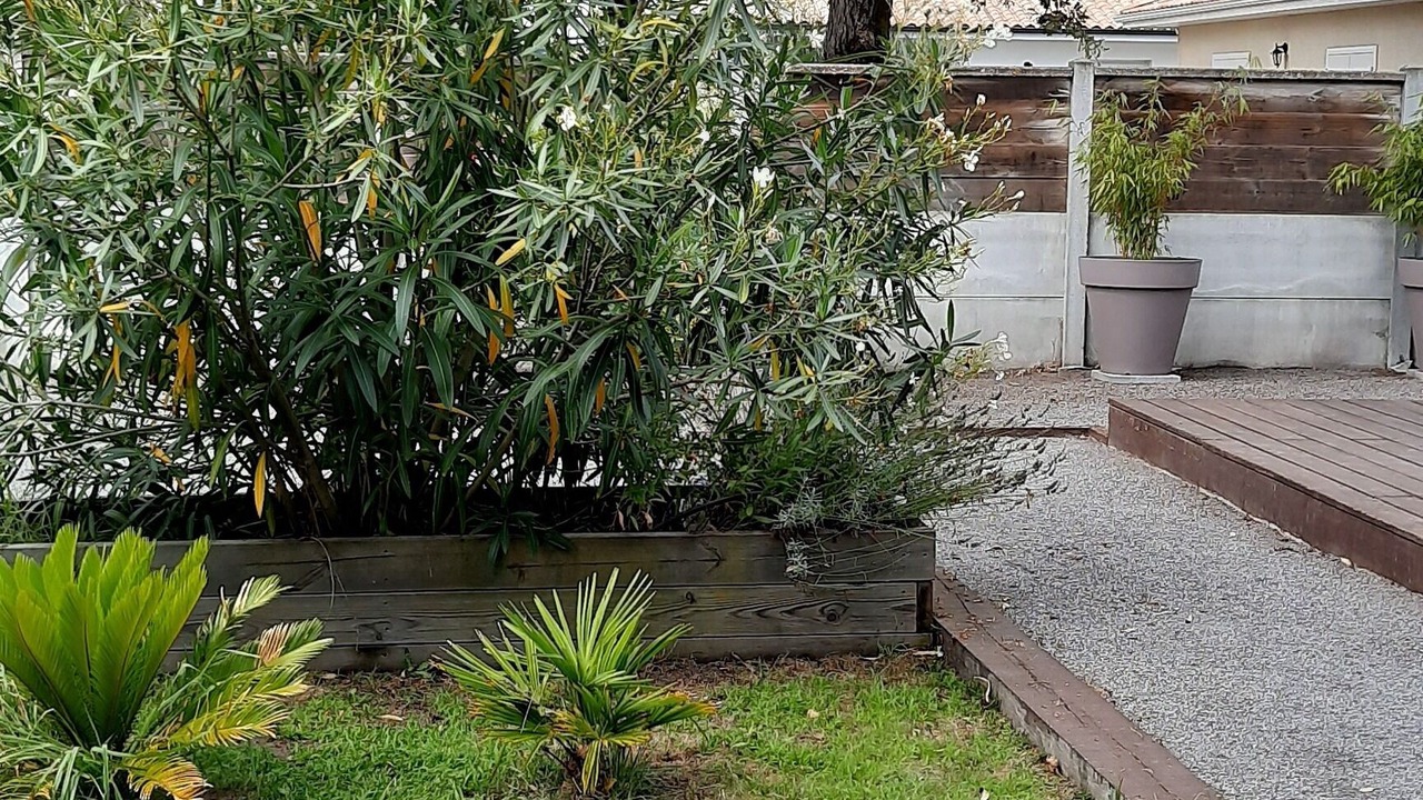 Photo of Outdoor in Gujan-Mestras