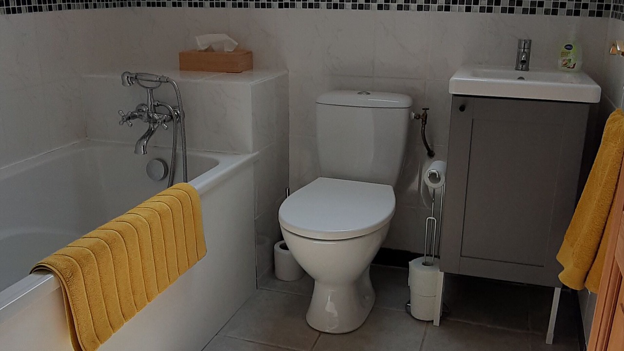 Photo of Bathroom in Lussac-Les-Eglises