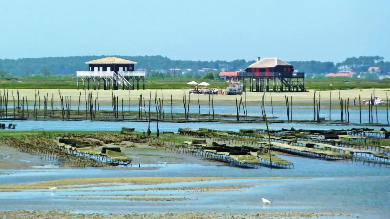 Photo of Others in Arcachon