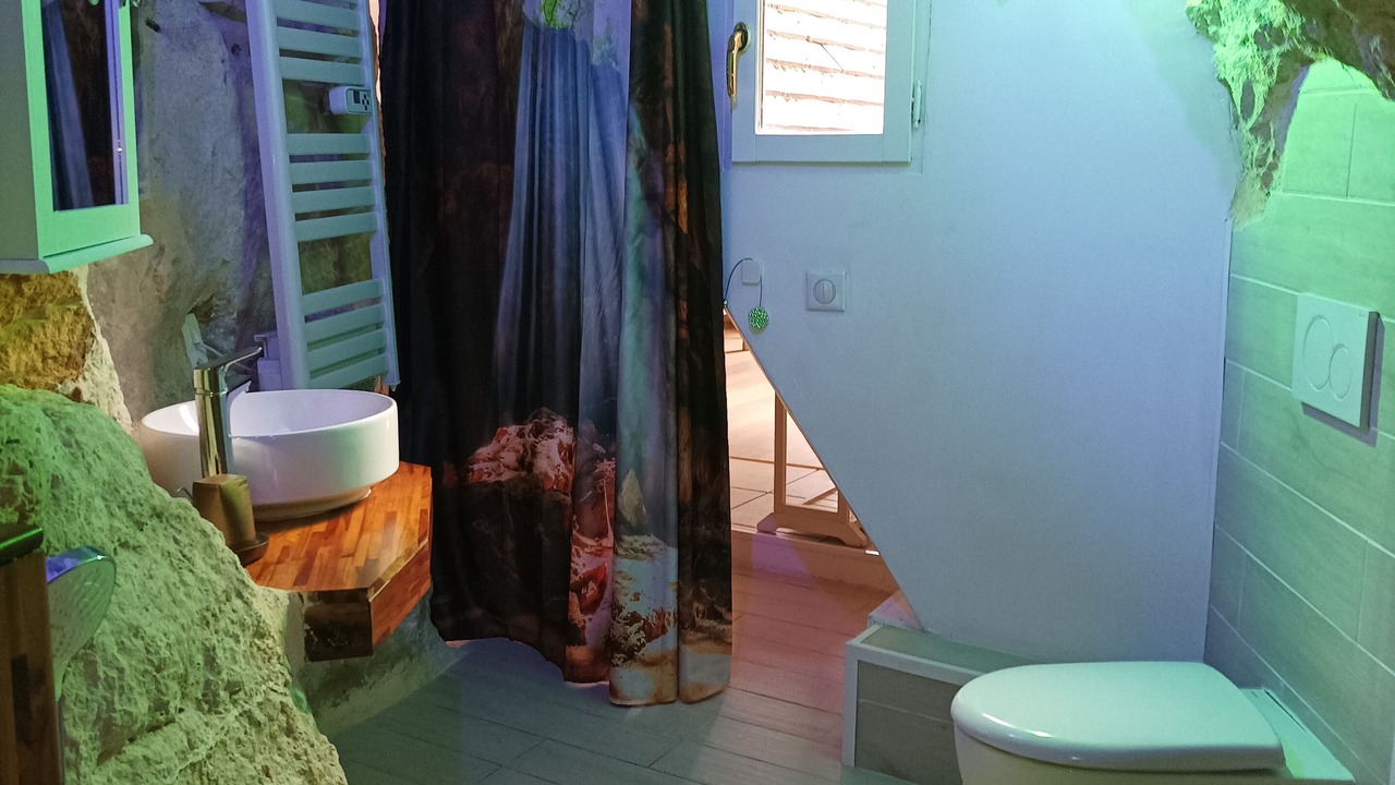 Photo of Bathroom in Domme