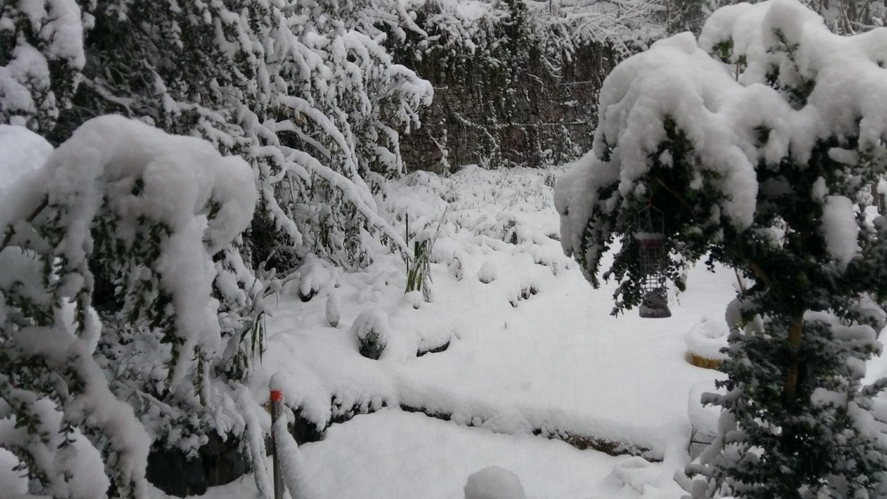 Photo of Outdoor in Eaux-Bonnes