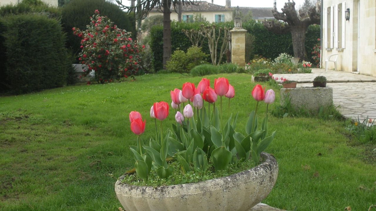 Photo of Outdoor in Sainte-Terre