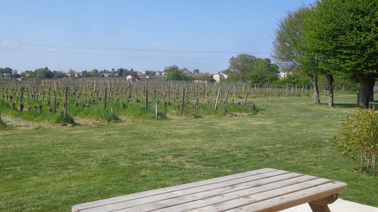 Photo of Outdoor in Blaye