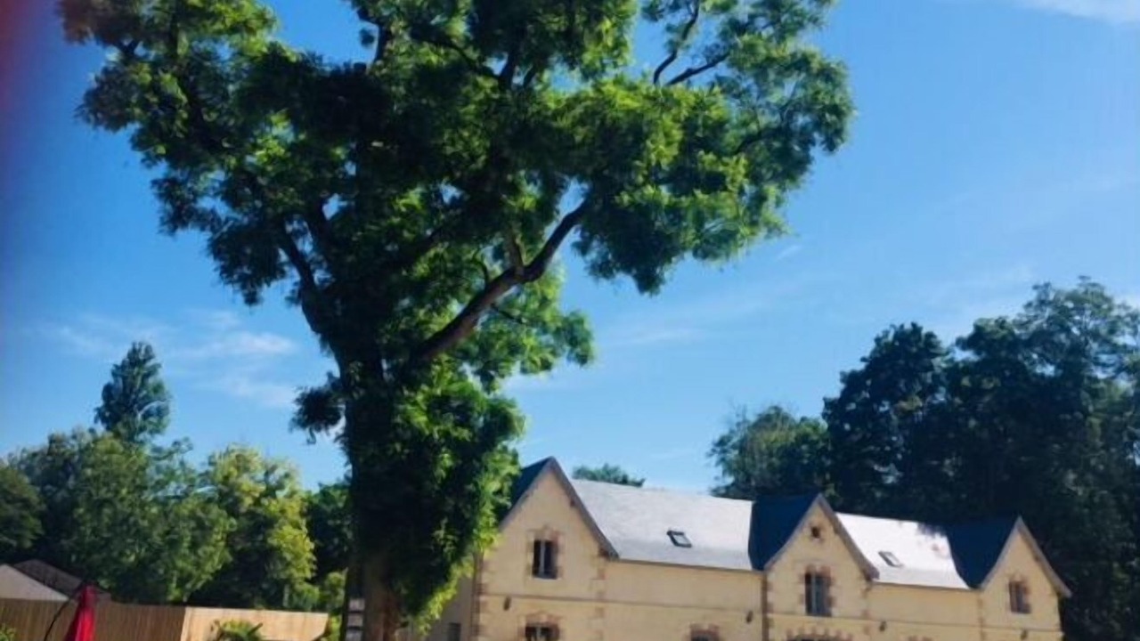 Photo of Outdoor in Vendeuvre-du-Poitou
