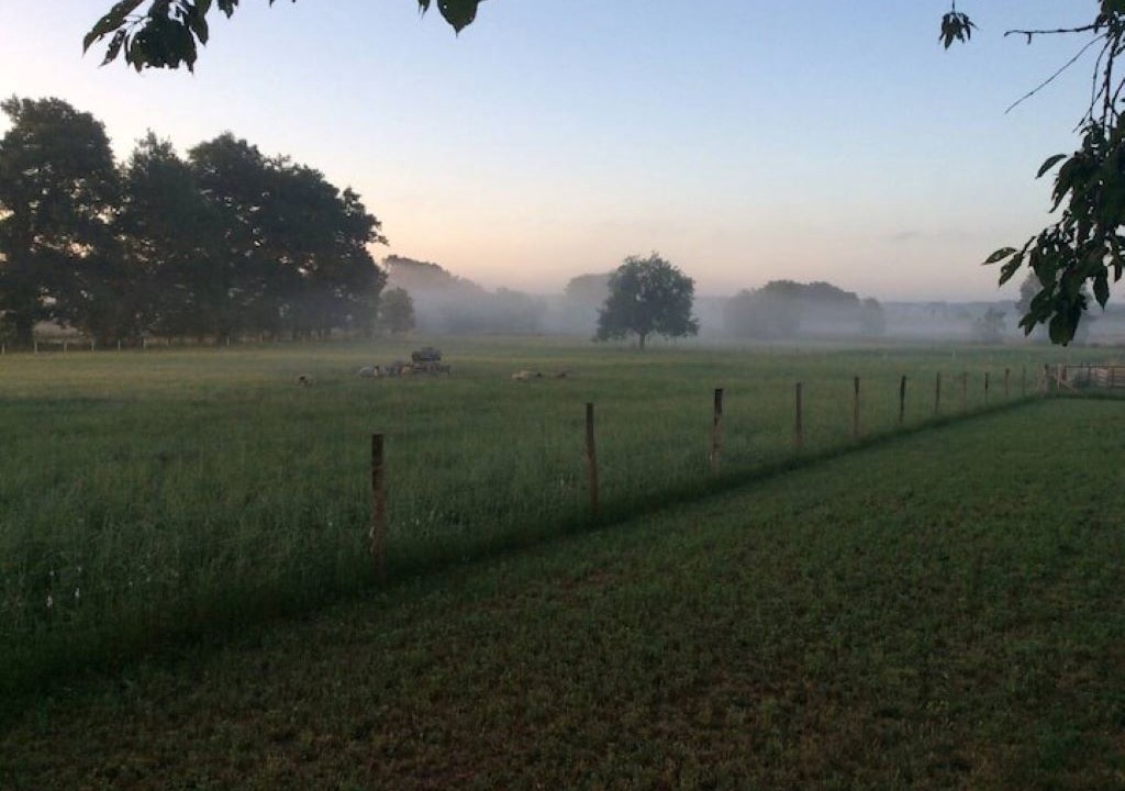 Photo of Outdoor in Laprade