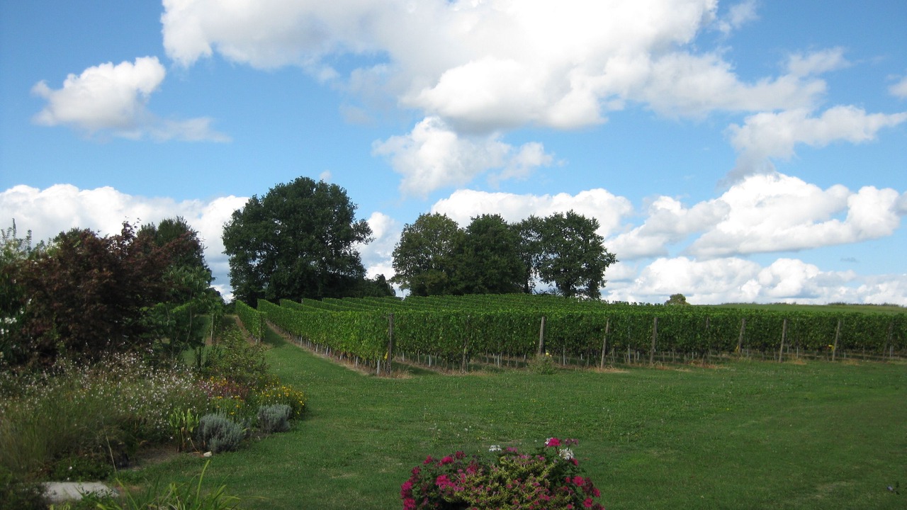 Photo of Outdoor in Boisse