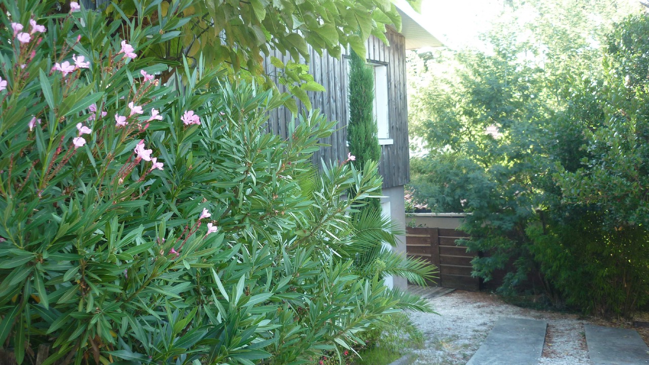 Photo of Outdoor in Le Canon