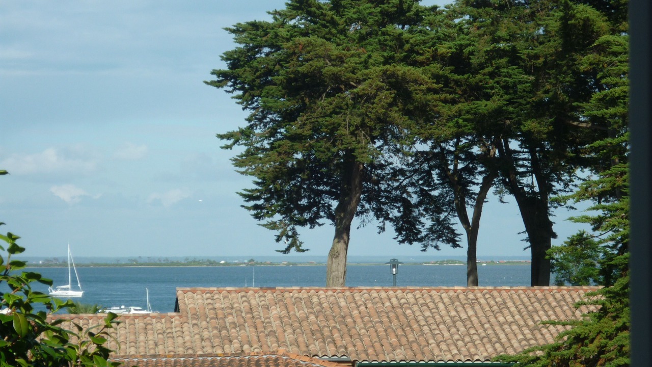 Photo of Others in Le Canon