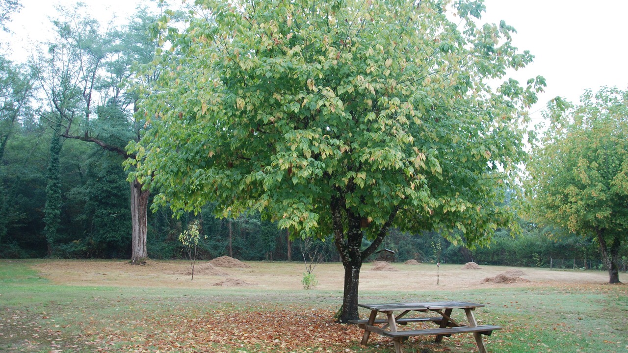 Photo of Outdoor in Lencouacq