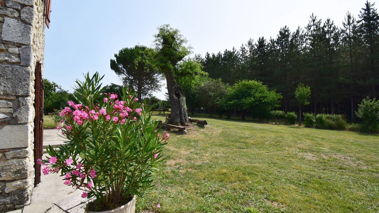 Photo of Outdoor in Lacaussade