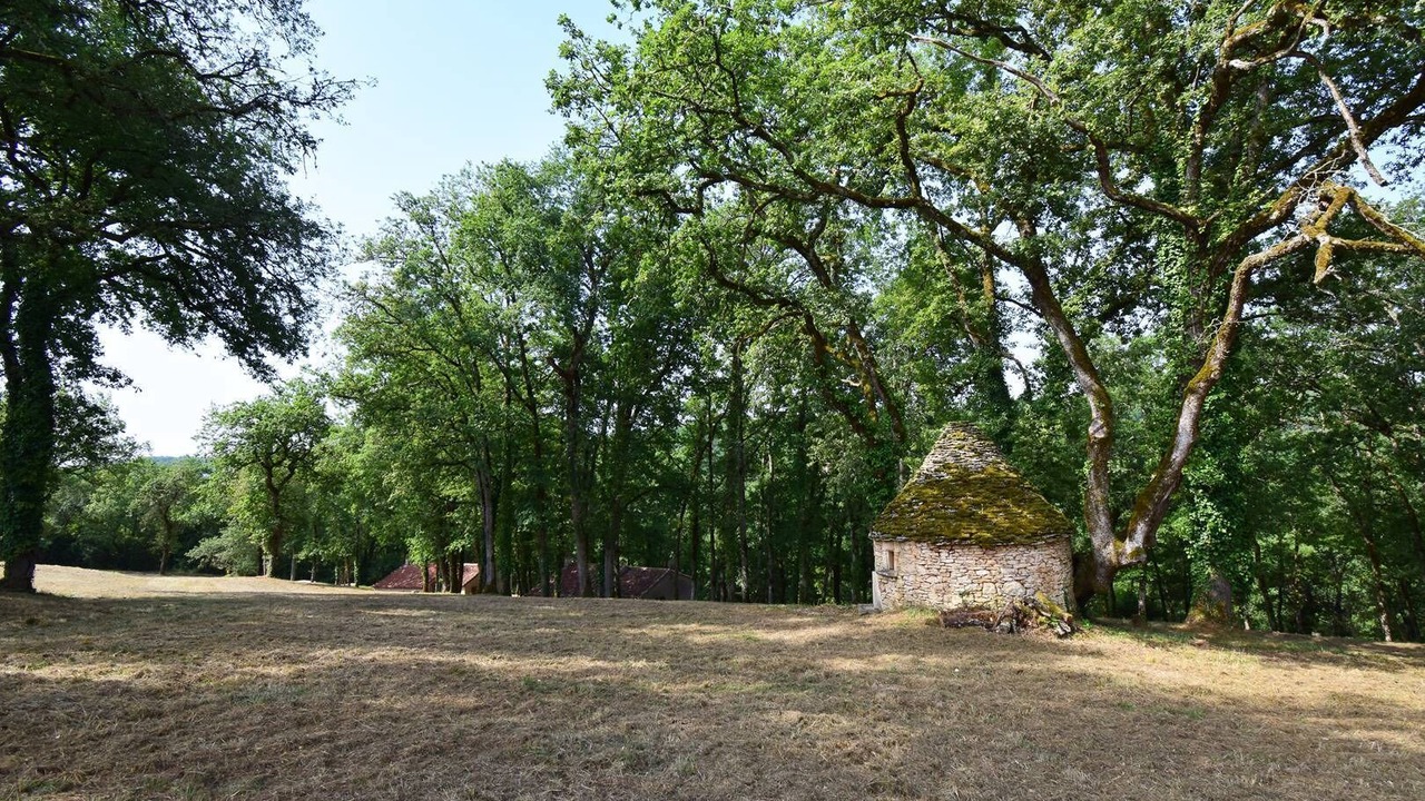 Photo of Others in Blanquefort-sur-Briolance
