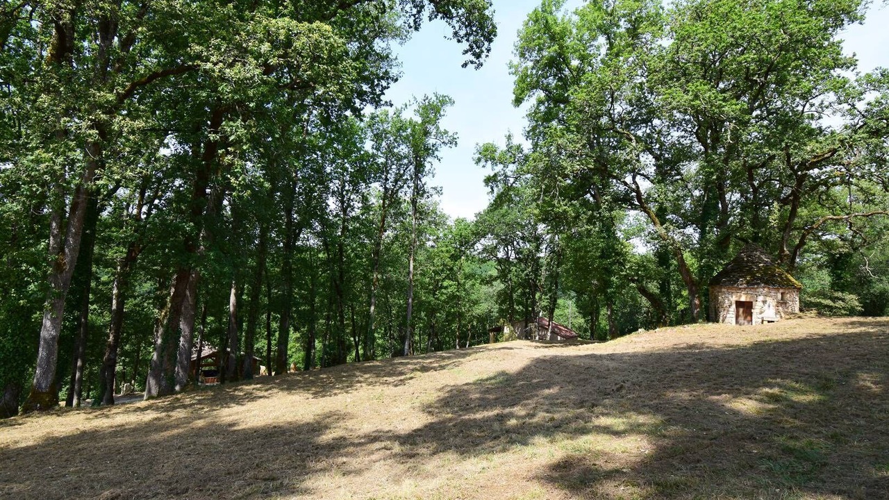 Photo of Outdoor in Blanquefort-sur-Briolance