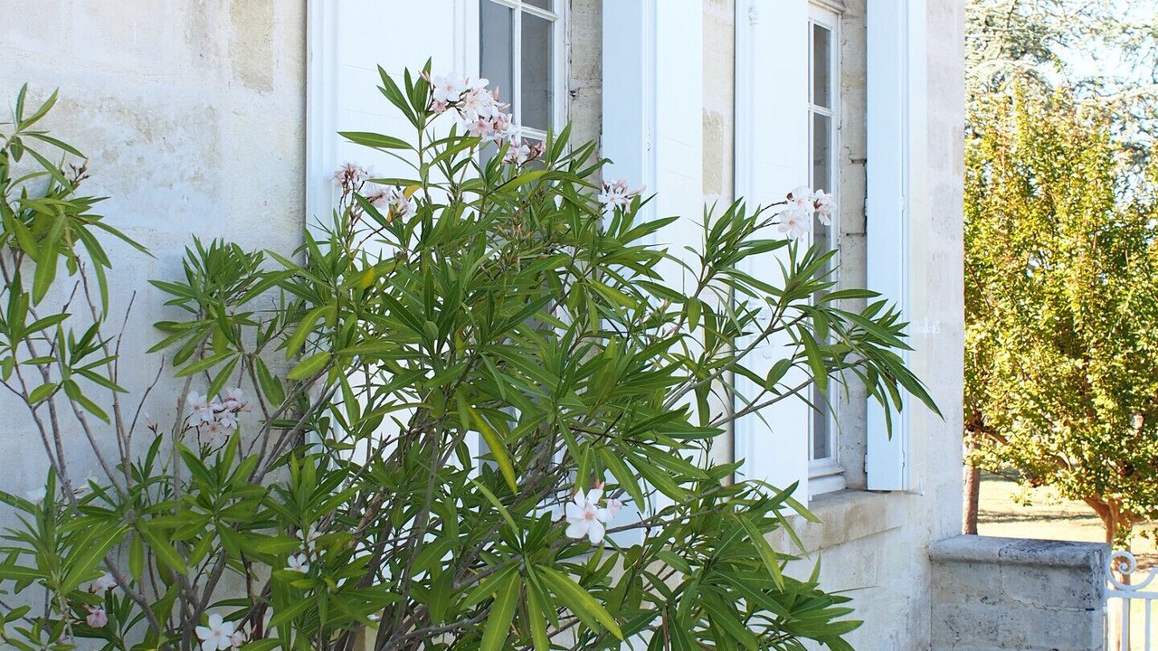 Photo of Outdoor in Martillac