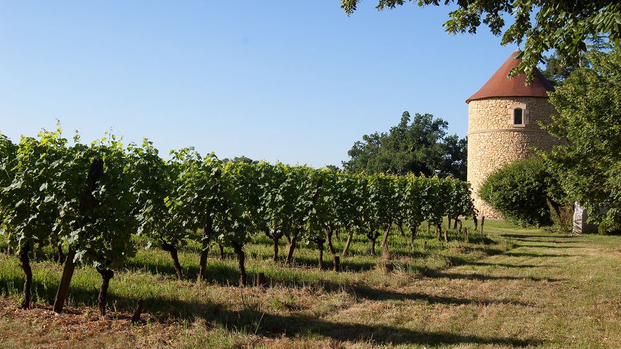 Photo of Outdoor in Bergerac
