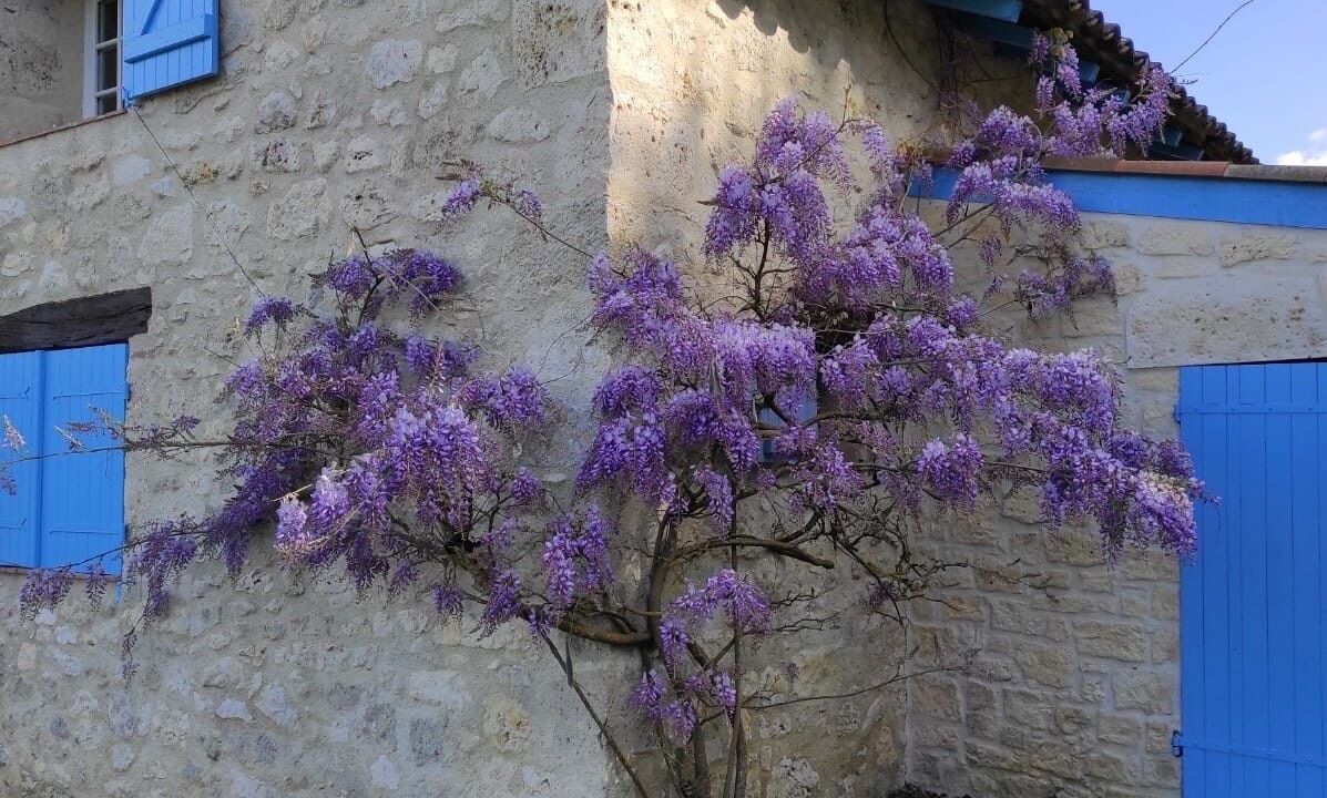 Photo of Outdoor in Sainte-Colombe-en-Bruilhois