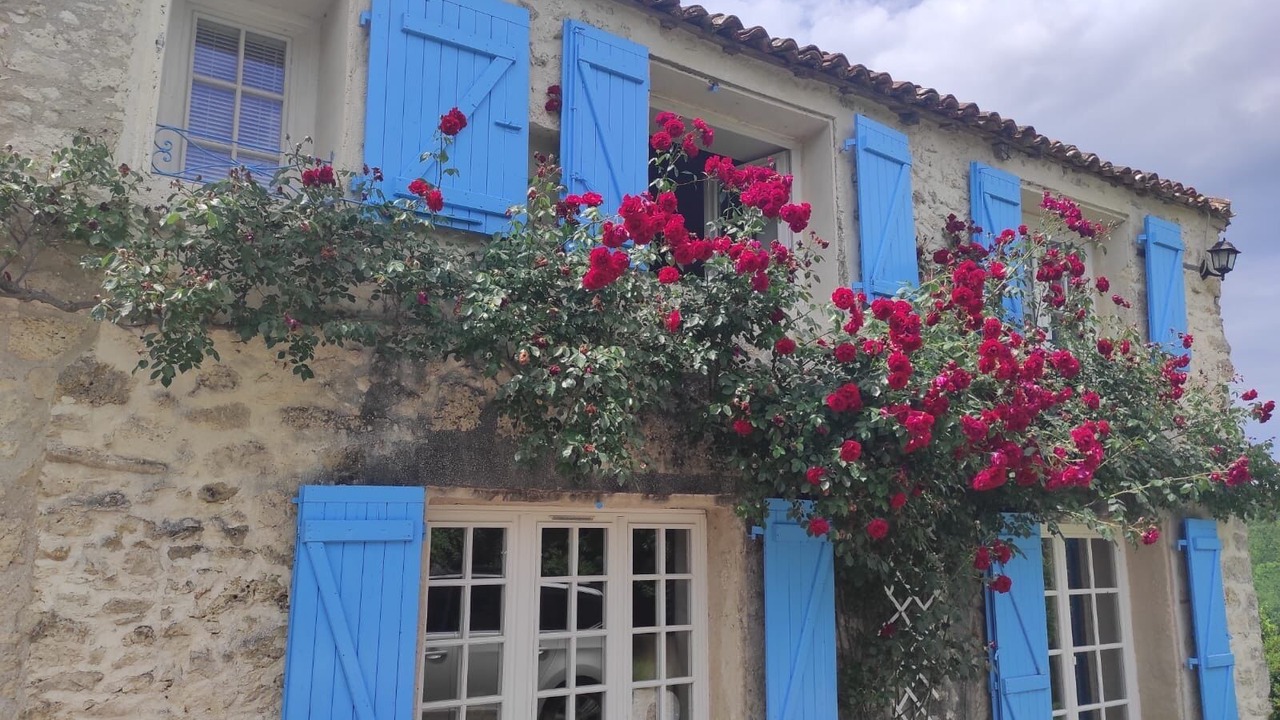 Photo of Outdoor in Sainte-Colombe-en-Bruilhois