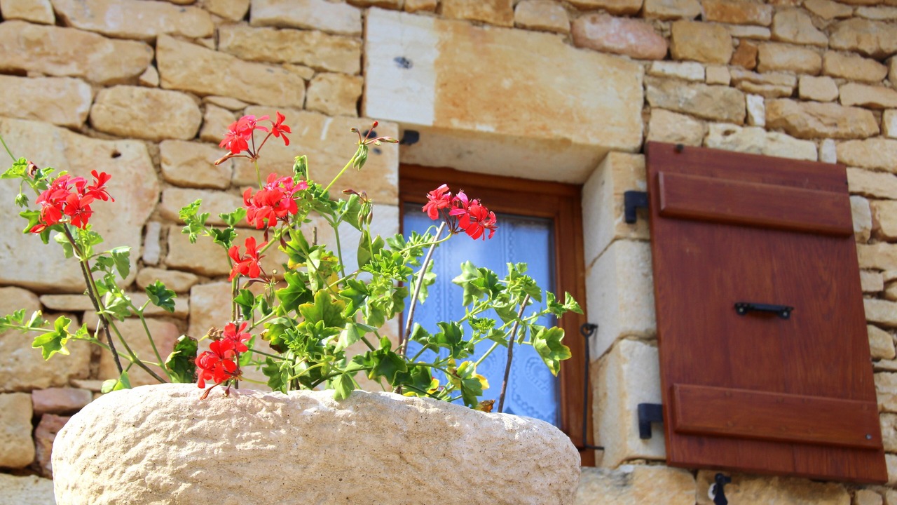 Photo of Outdoor in Jayac