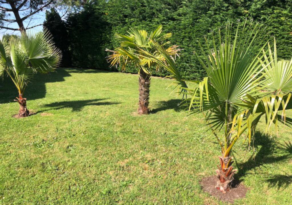 Photo of Outdoor in Saint-Gregoire-d'Ardennes