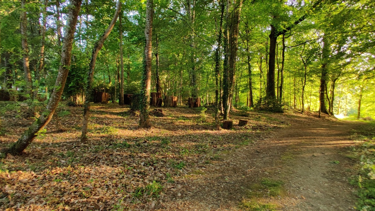 Photo of Outdoor in Saint-Marcel-du-Perigord