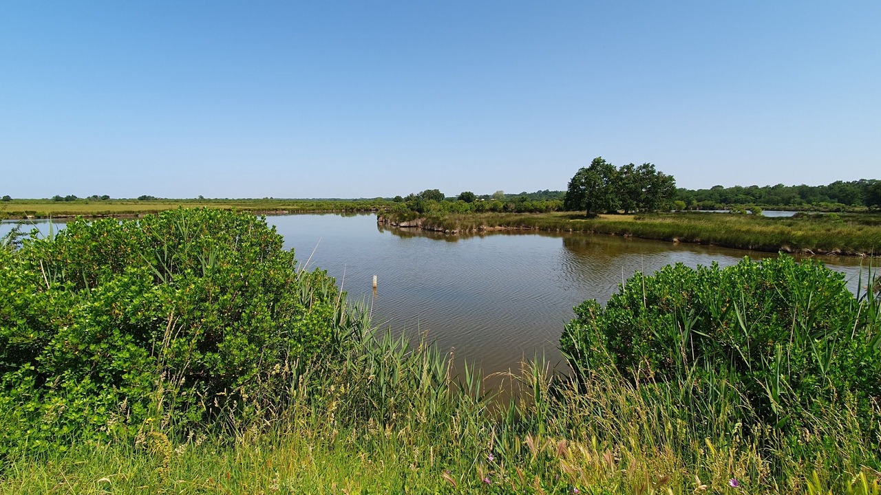 Photo of Outdoor in Biganos