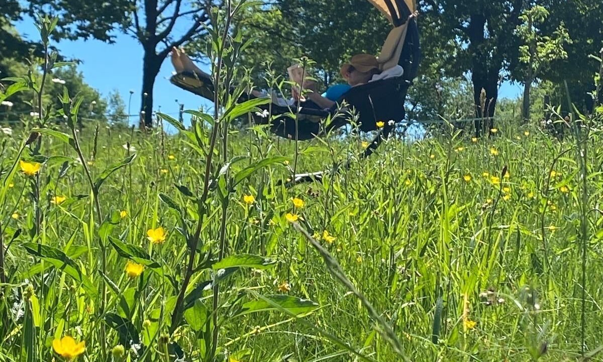 Photo of Outdoor in Abjat-sur-Bandiat