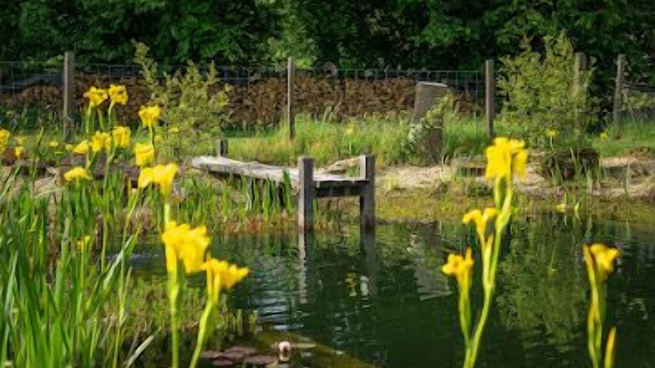 Photo of Outdoor in Abjat-sur-Bandiat