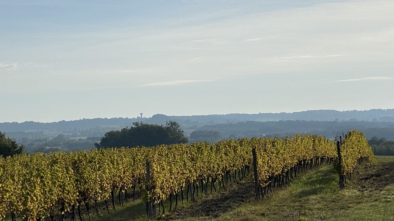 Photo of Outdoor in Villeneuve-de-Duras